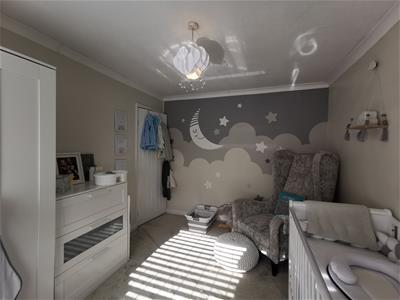 Picture 16